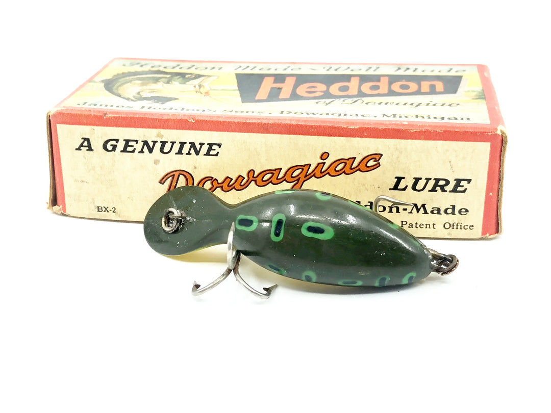 Heddon Tadpolly, BF Bullfrog Color w/Box