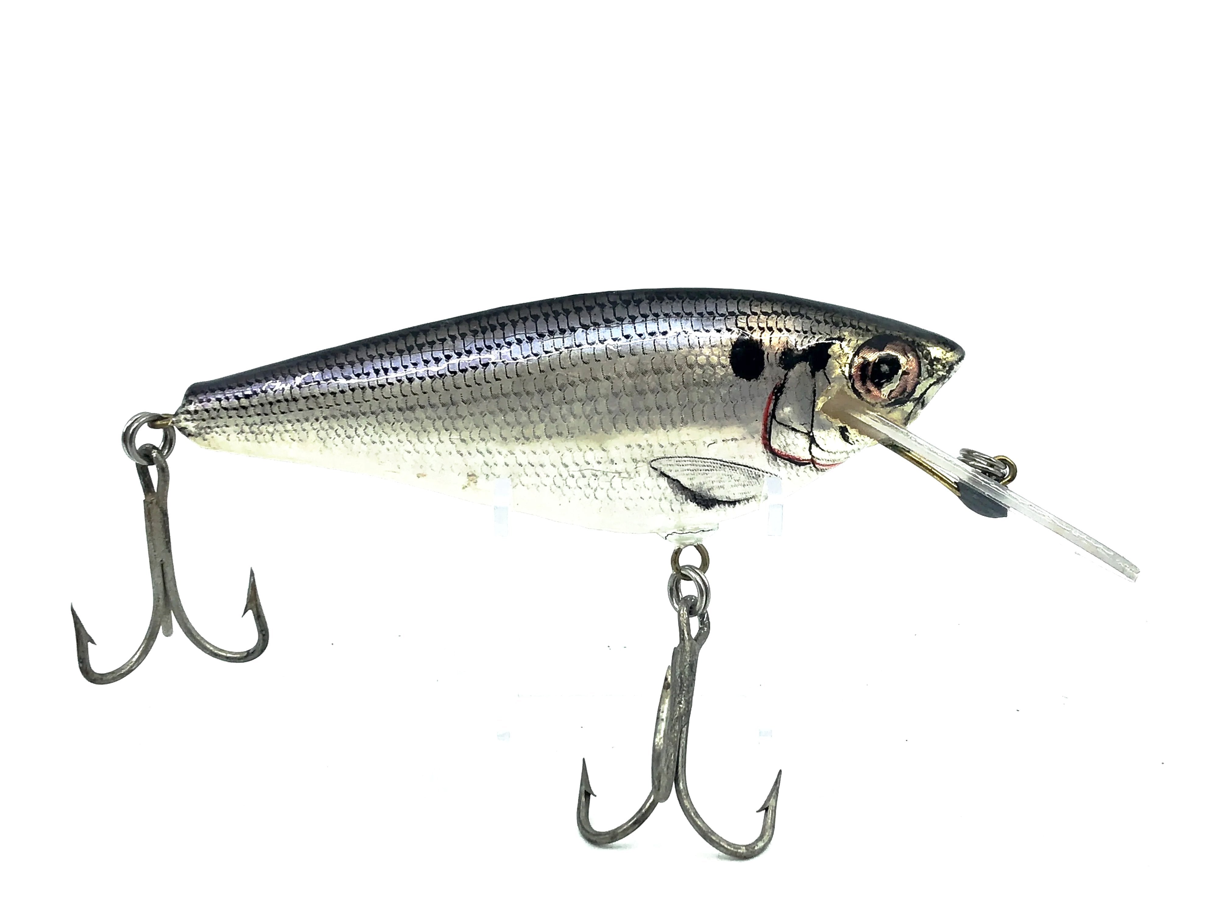 Bagley Small Fry Monster Shad - Vintage Bait Bagley Small Fry Monster Shad - Vintage Bait