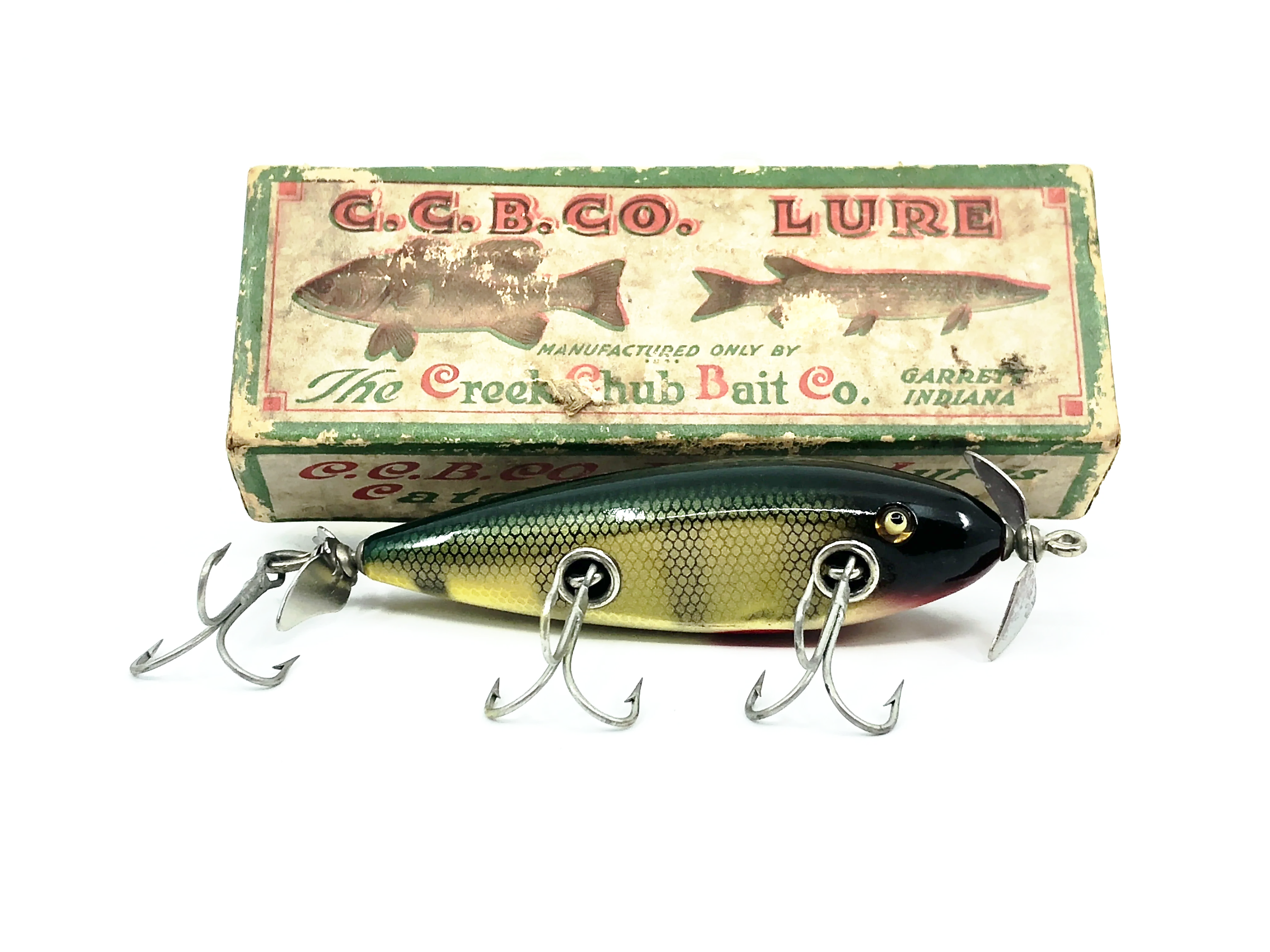 creek chub injured minnow fishing lure Creek Chub Injured Minnow 1500 Perch Scale 1501 Color with Box – My Bait  Shop, LLC