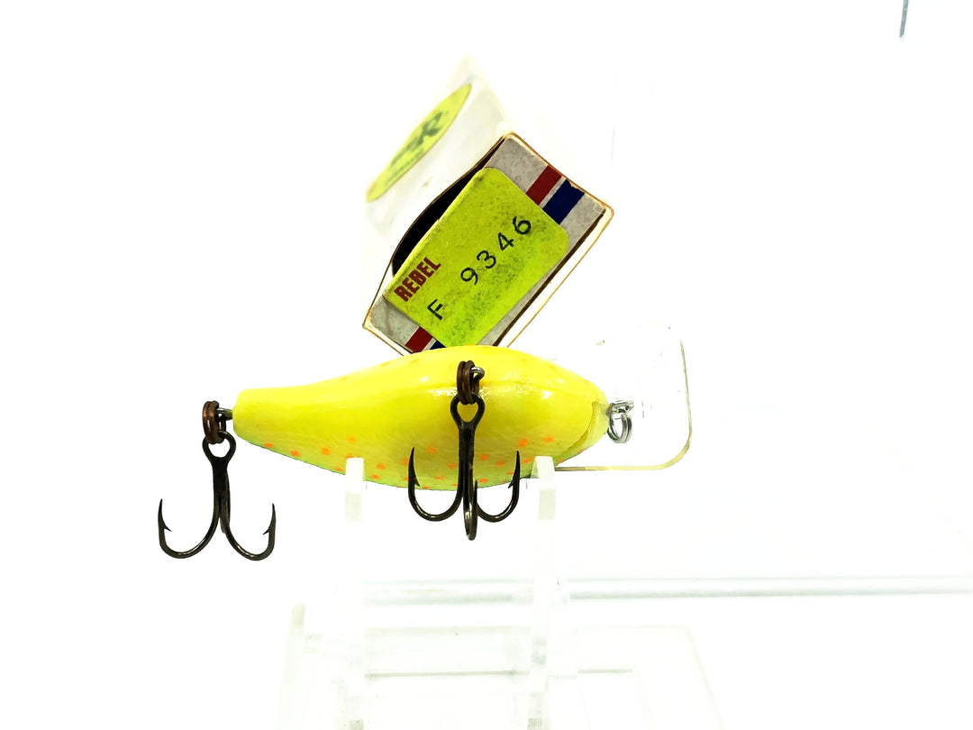 Rebel Wee R Noisemaker F9346, Green/Chartreuse/Orange Dots w/Box