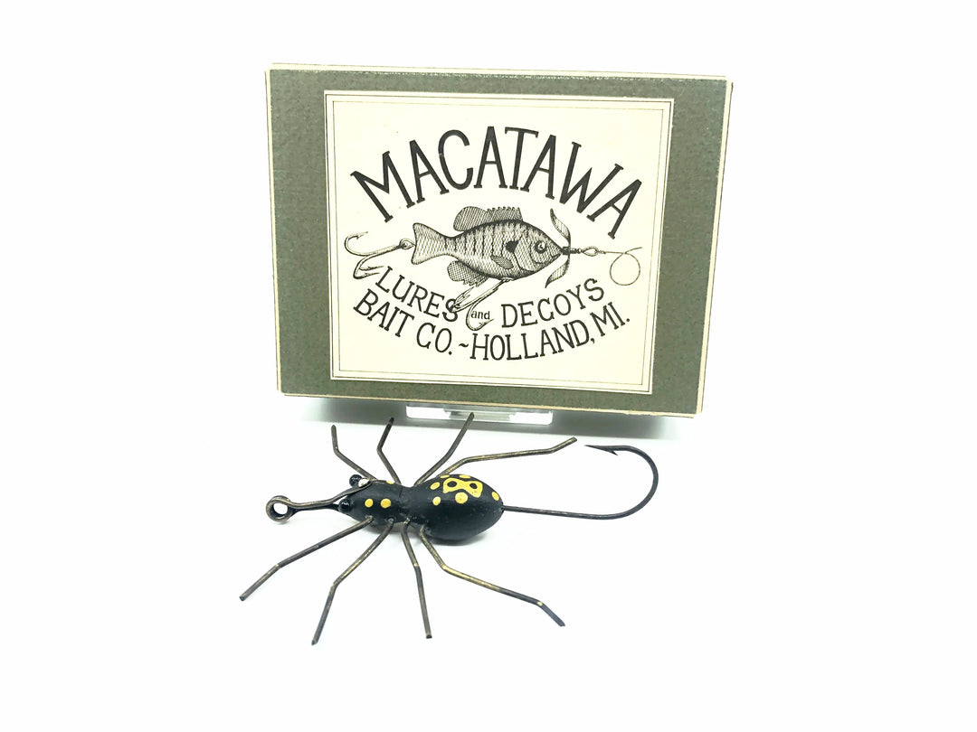 Macatawa Garden Spider w/Box