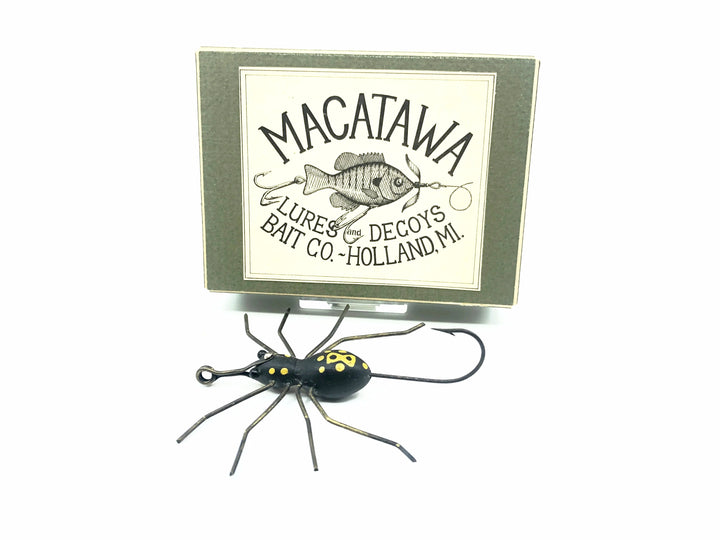 Macatawa Garden Spider w/Box