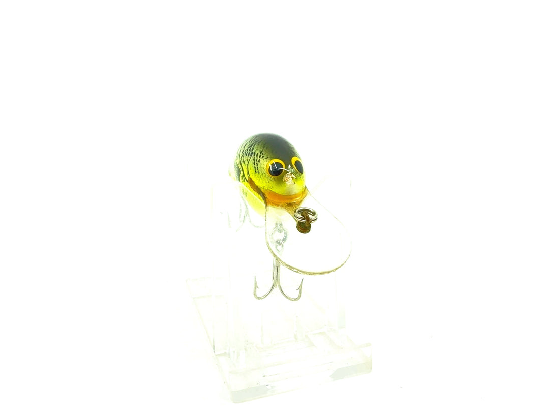 Bagley Diving Killer Balsa DKB1-TLCY, True Life on Crappie Yellow Color - Tough
