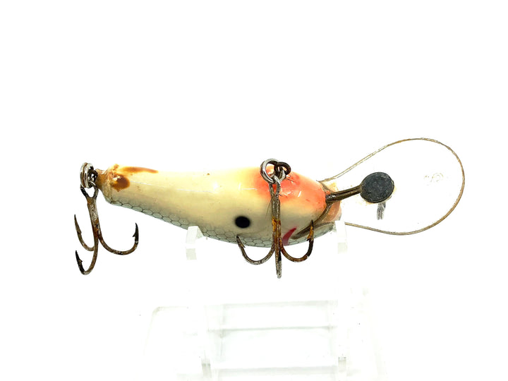 Bagley Divin' Kill'r B2 SDKB2, TS Tennessee Shad Color
