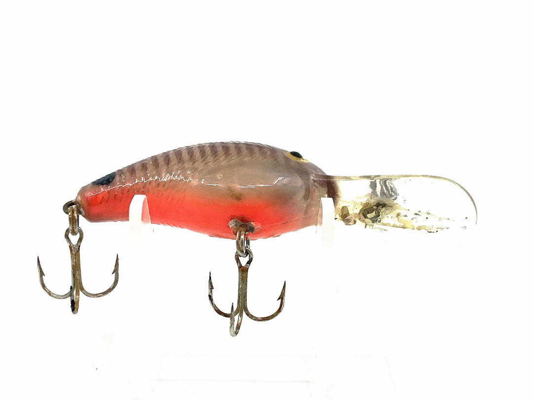 Cotton Cordell 4500 Deep Big-O Color 87 Crawfish with dot on Tail - Tough