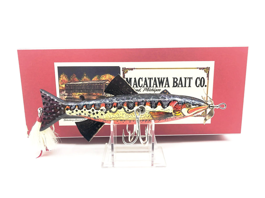 Macatawa Bait Co. Golden Trout w/Box
