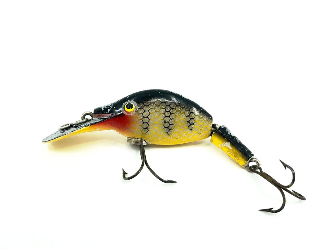 Sparkle Tail, Yellow Perch Color