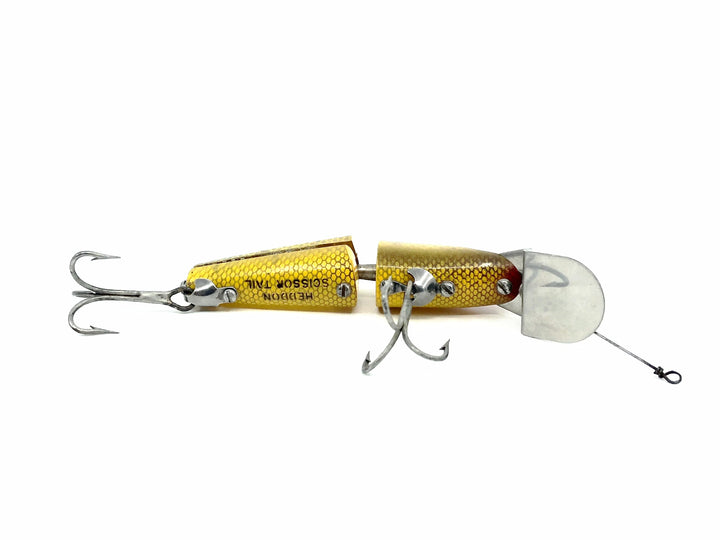 Heddon Scissortail, L Perch Color