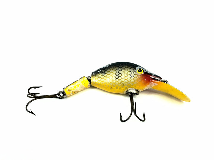 Sparkle Tail, Yellow Perch Color