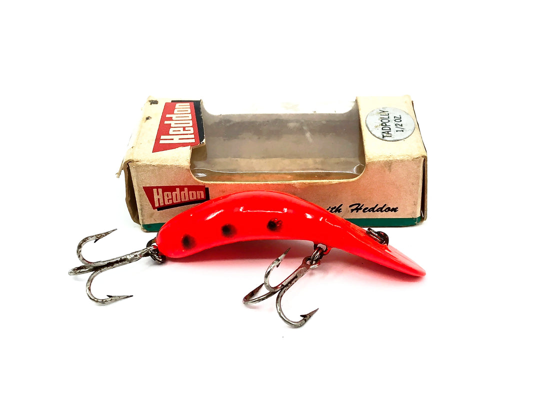 Heddon Tadpolly, RFB Red Fluorescent/Black Spots Color w/Box