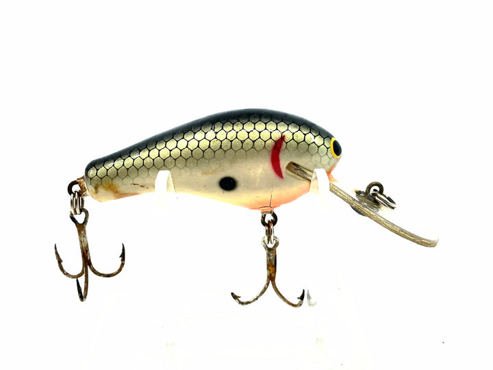 Bagley Divin' Kill'r B2 SDKB2, TS Tennessee Shad Color