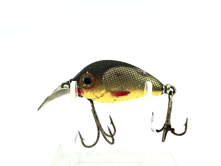 Brook's Double O, Shad Color