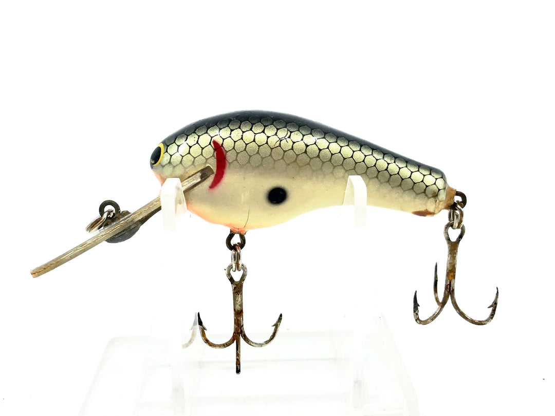 Bagley Divin' Kill'r B2 SDKB2, TS Tennessee Shad Color