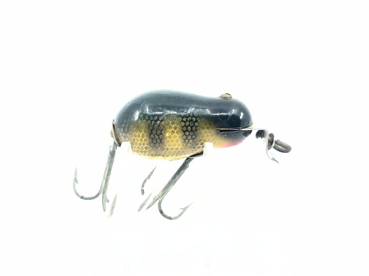 Creek Chub 6400 Tiny Tim #01 Perch Scale Color