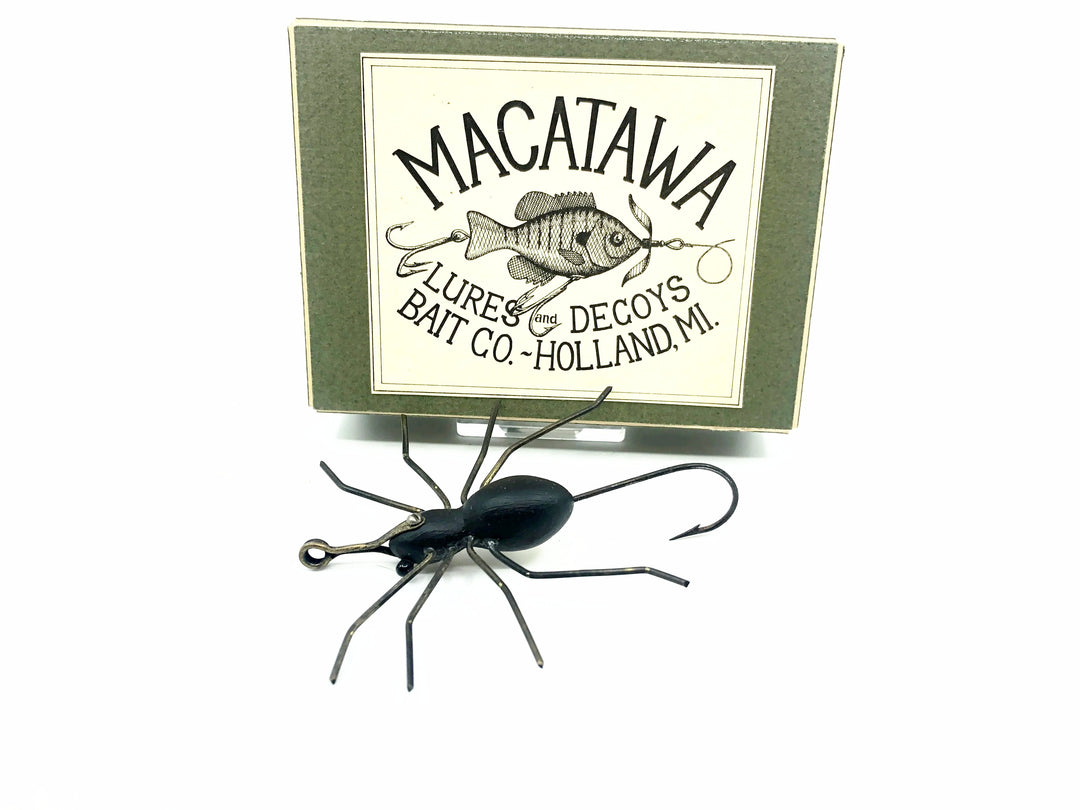 Macatawa Garden Spider w/Box