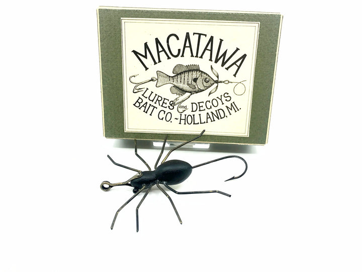 Macatawa Garden Spider w/Box