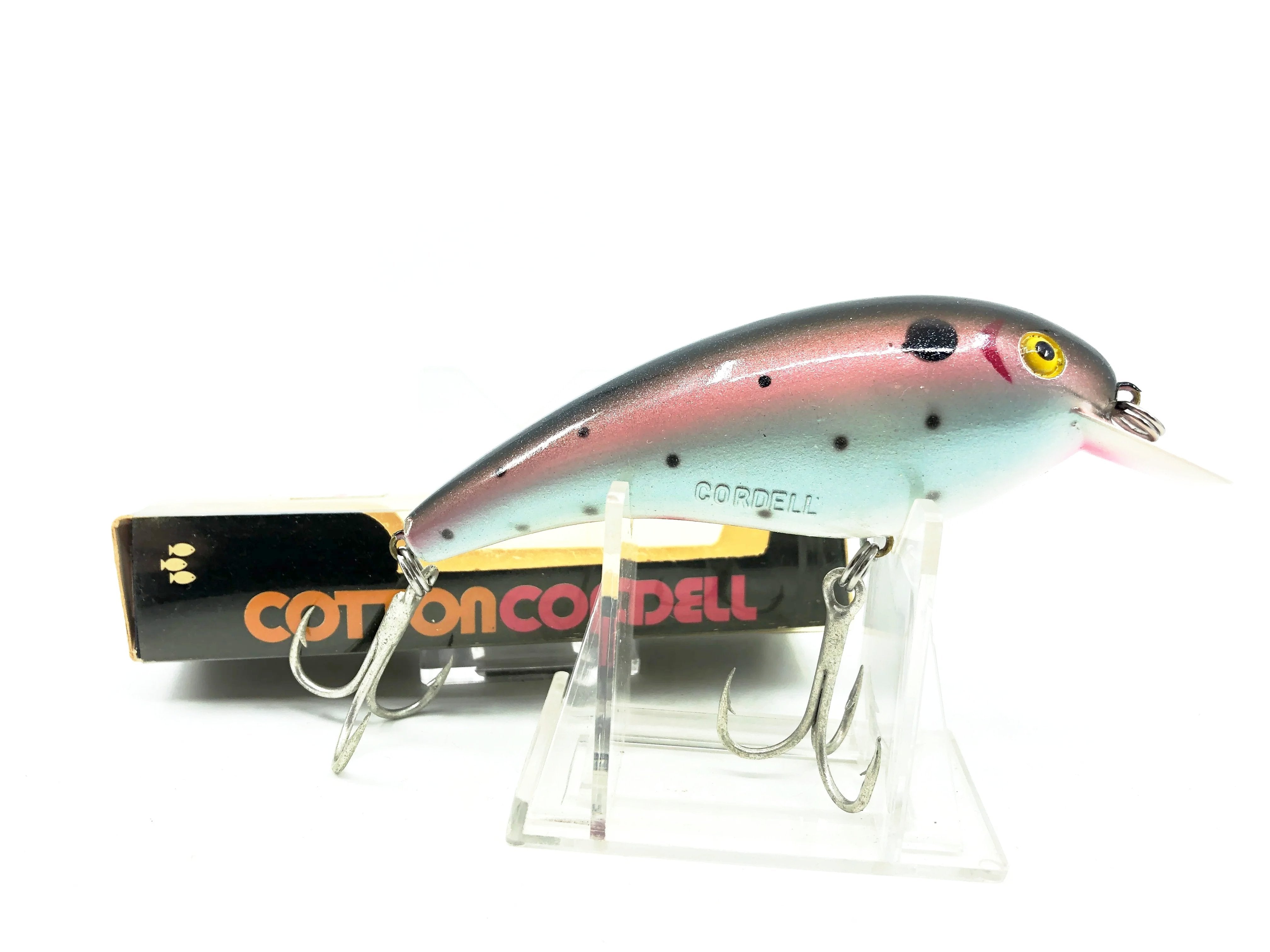 cotton cordell big o fishing lure Cotton Cordell 8100 Big-O, #Rainbow Trout Color with Box – My Bait Shop, LLC