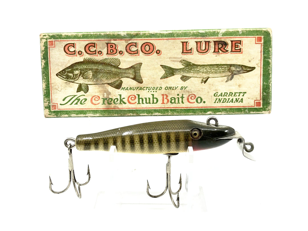 Vintage Creek Chub Baby Pikie 900, Pikie Color with Box