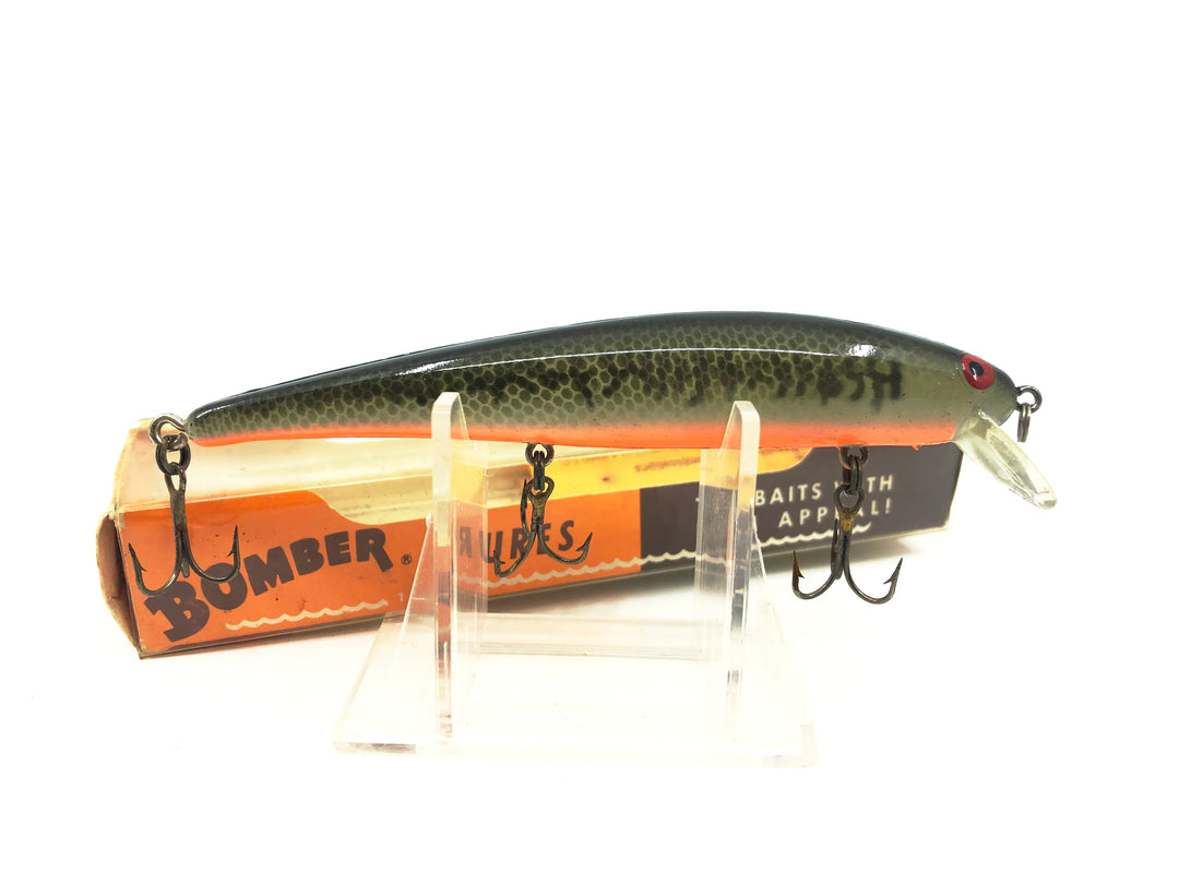 Bomber Long A 15A, BBO Baby Bass/Orange Belly Color with Box