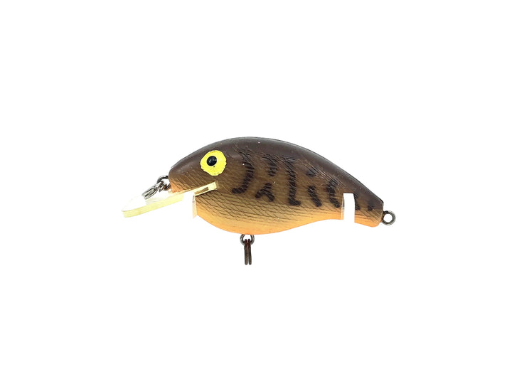 Rebel Wee R, #365 Crawfish Orange Belly Colo