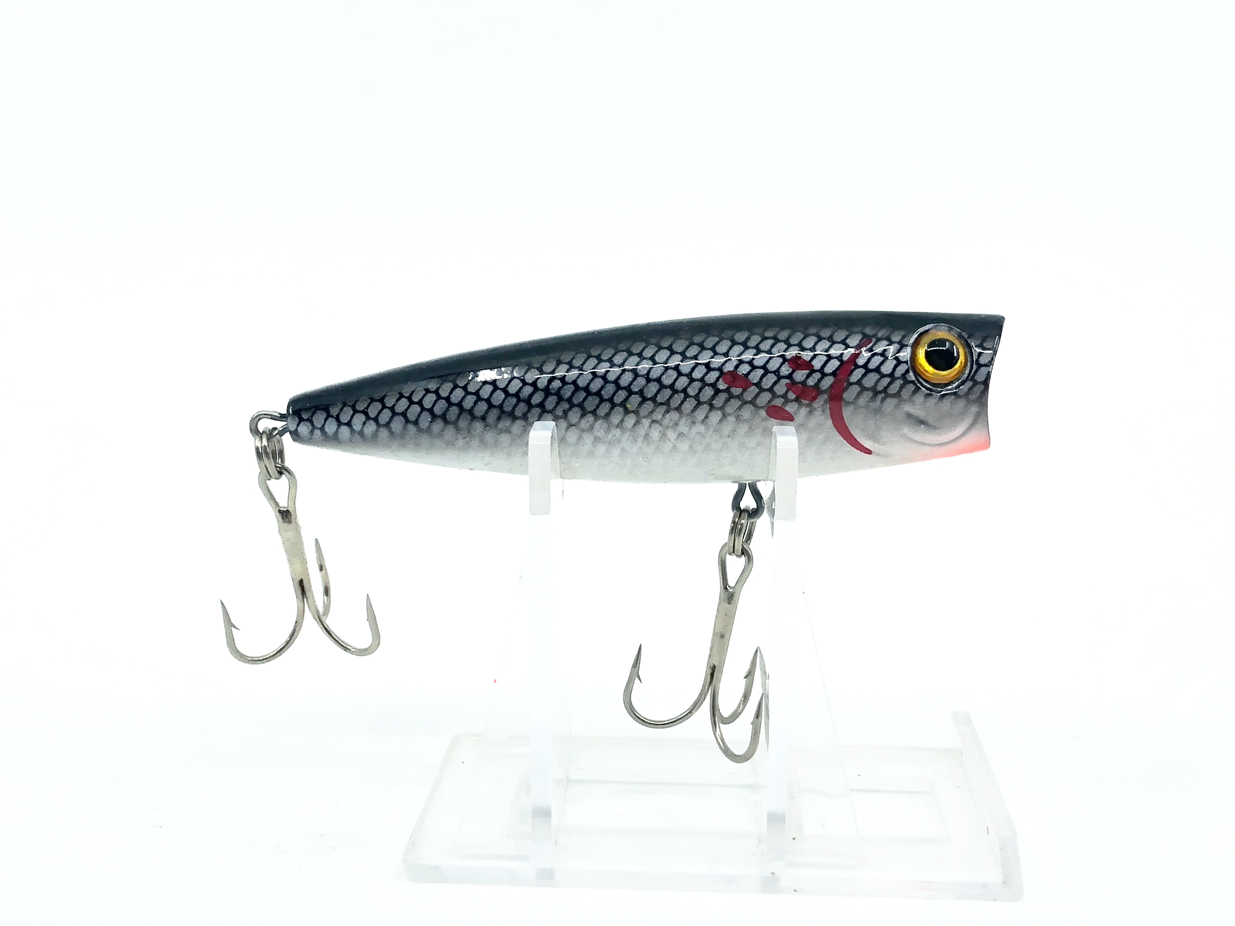 bass pro tourney special lures Bass Pro Shops Tourney Special Popper, Bleeding Tennessee Shad Color – My Bait Shop, LLC