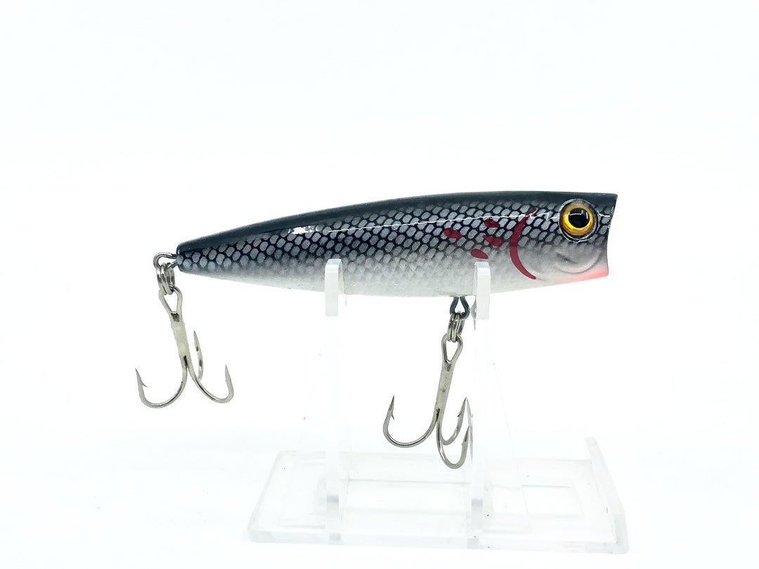 Bass Pro Shops Tourney Special Popper, Bleeding Tennessee Shad Color