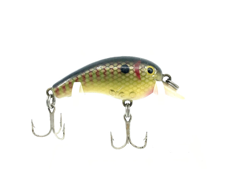 Cotton Cordell 7600 Big-O, #23 Green Perch Color