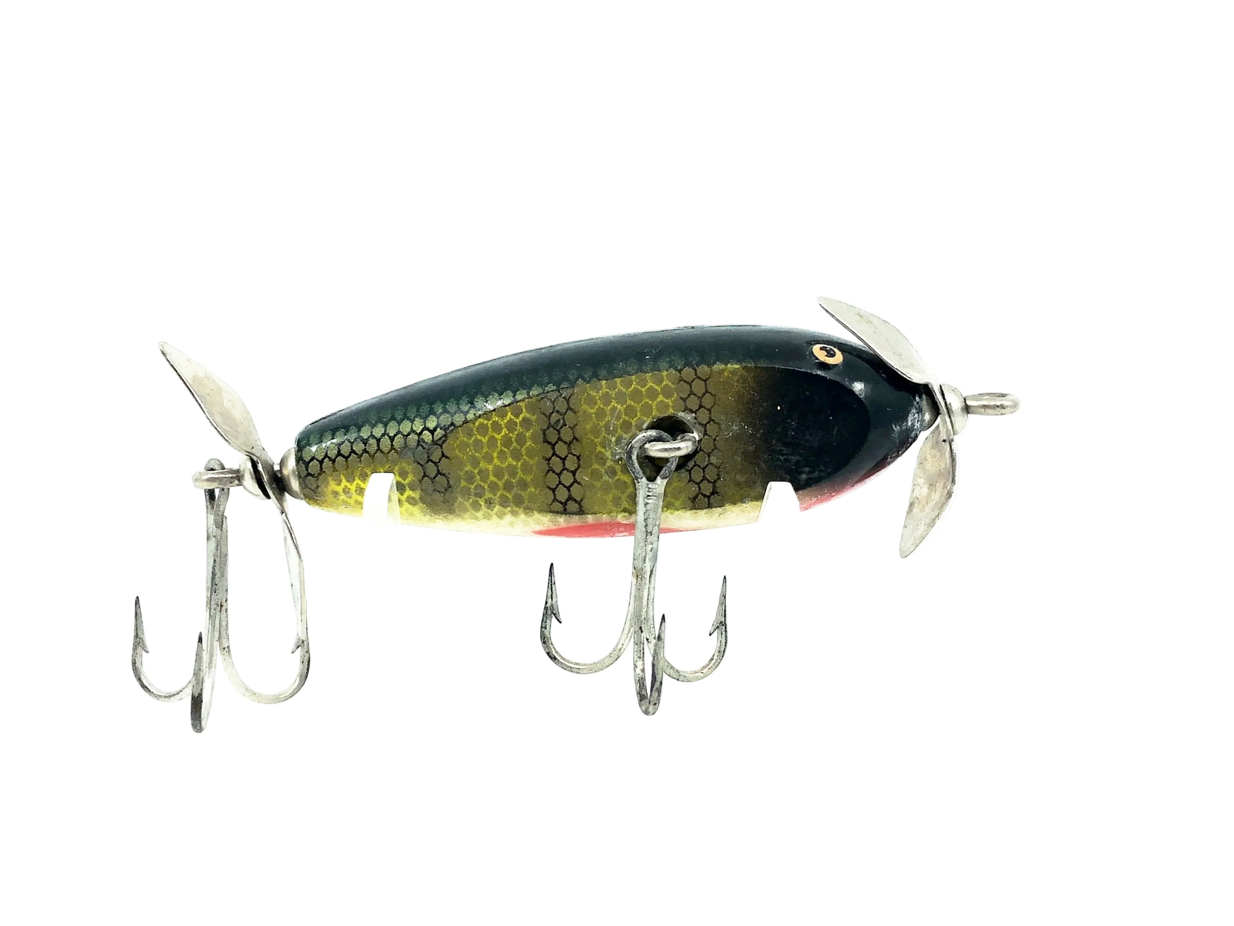 Creek Chub 1600 Baby Injured Minnow, #01 Perch Scale Color