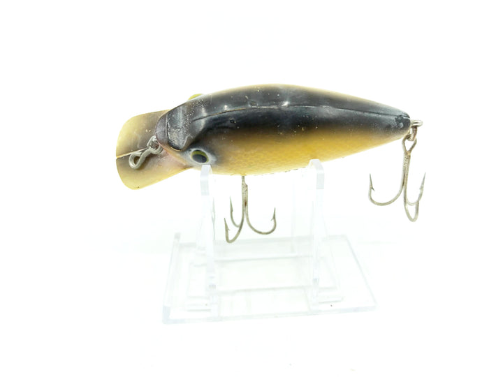 Arbogast Pug-Nose in Yellow / Gold Scale Black Back Color