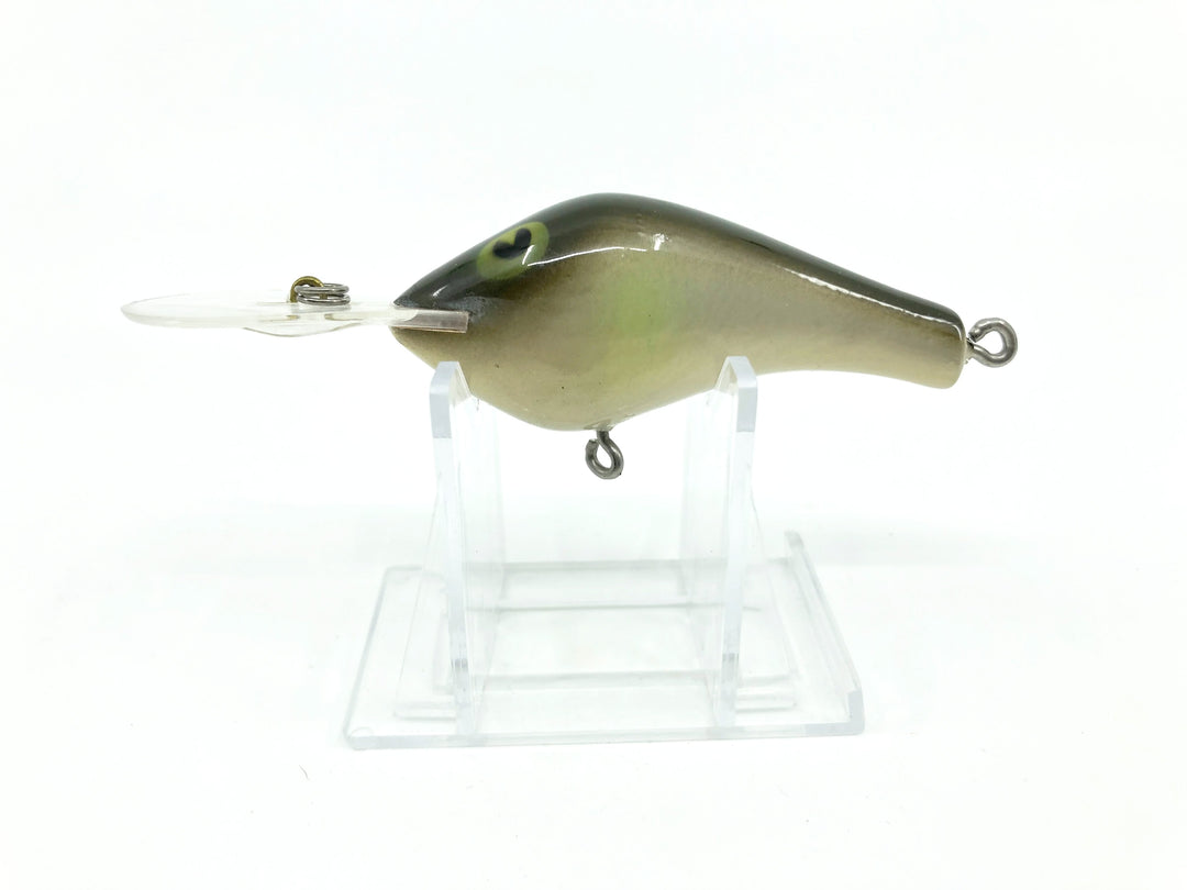 Poe's Super Cedar Series 300 Color Olive - Possible Salesman Sample