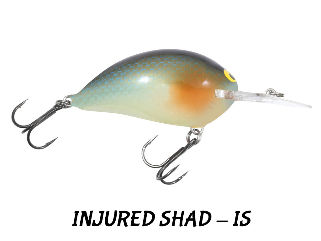 Bagley Sunny B (Choose Color)