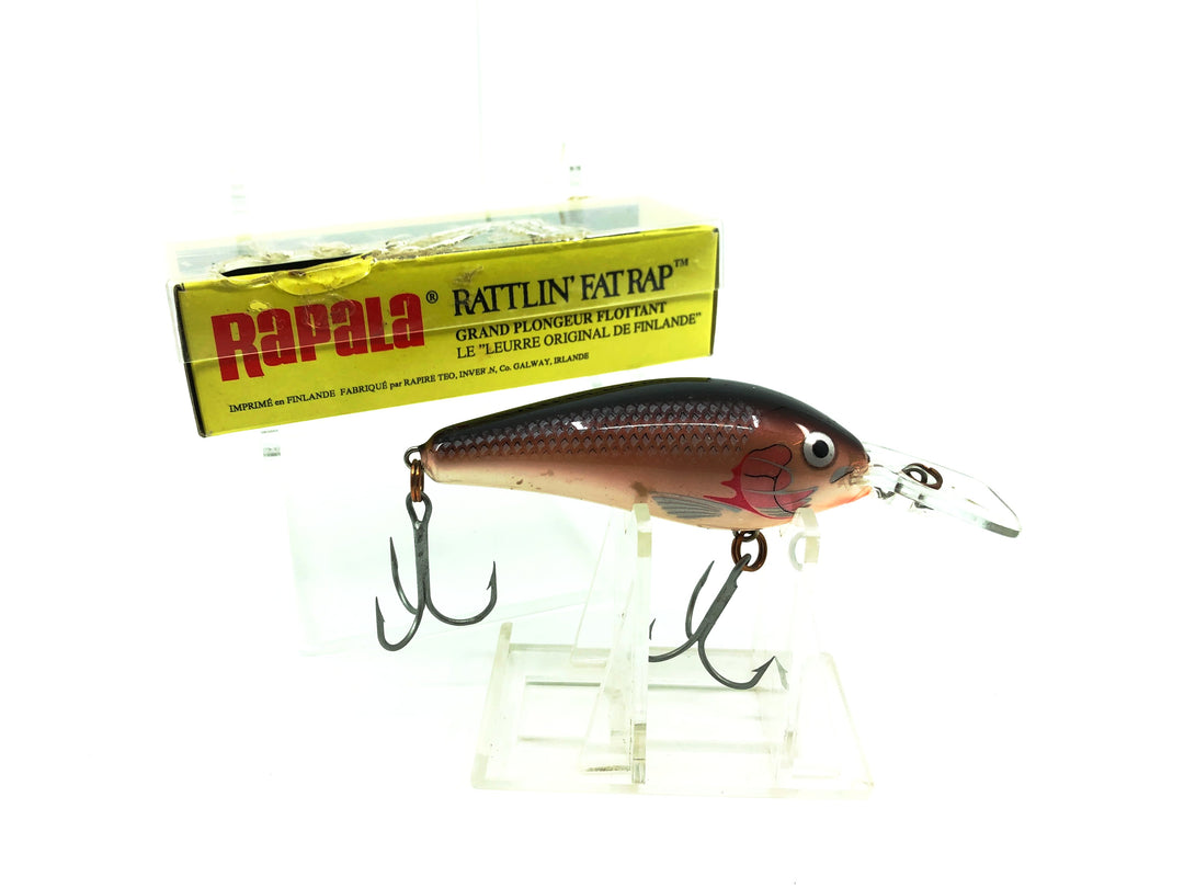 Rapala Rattlin' Fat Rap RFR-7, PSD Plum Shad Color with Box
