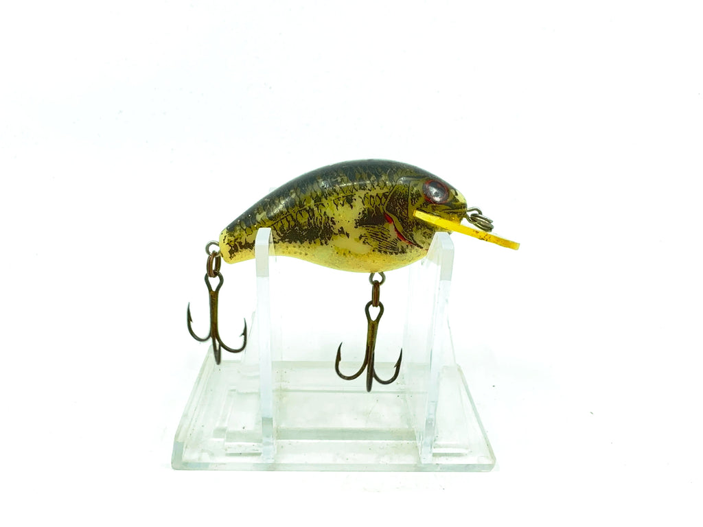 Rebel Wee R, Naturalized Baby Bass Color – My Bait Shop, LLC