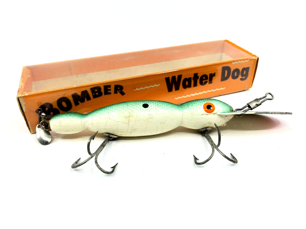 Vintage Wooden Bomber Water Dog 1743 Green Shad Color with Box – My Bait  Shop, LLC