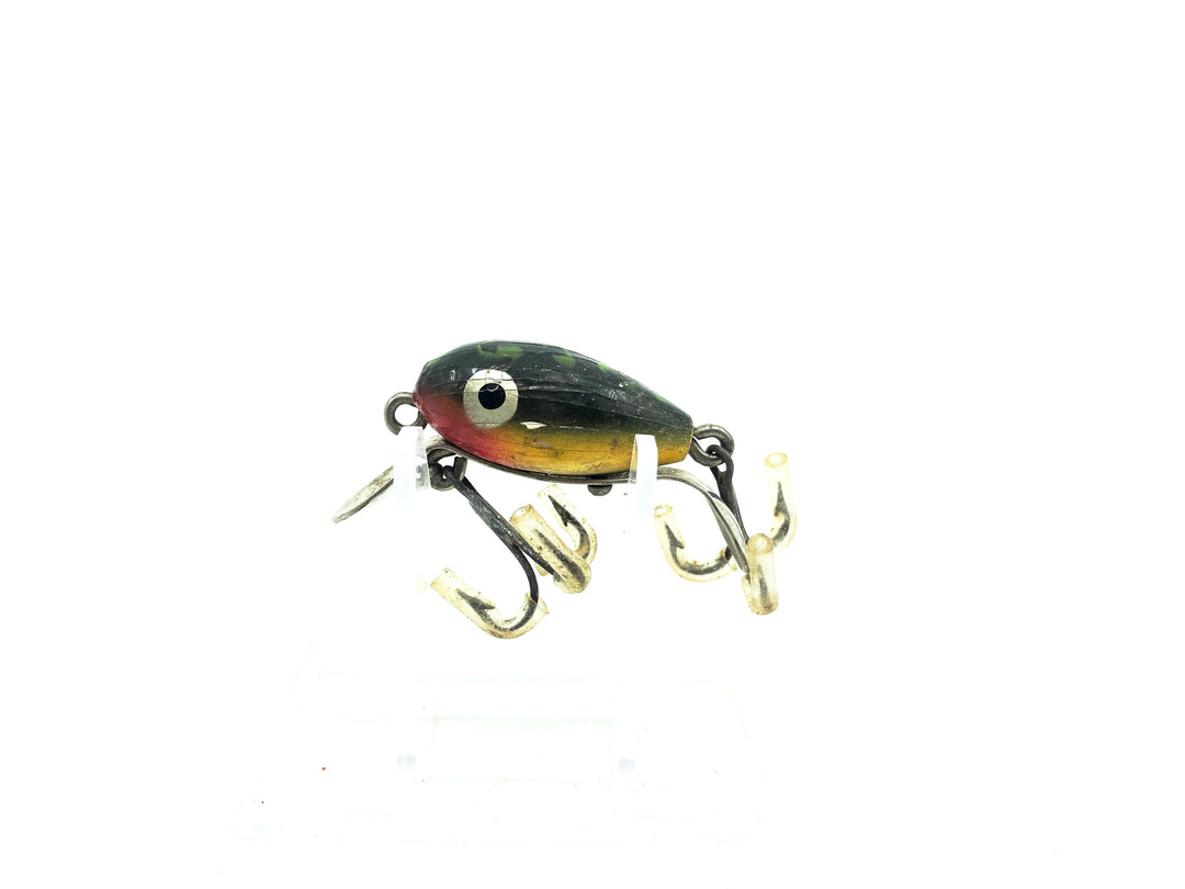 Shakespeare Dopey Frog Color