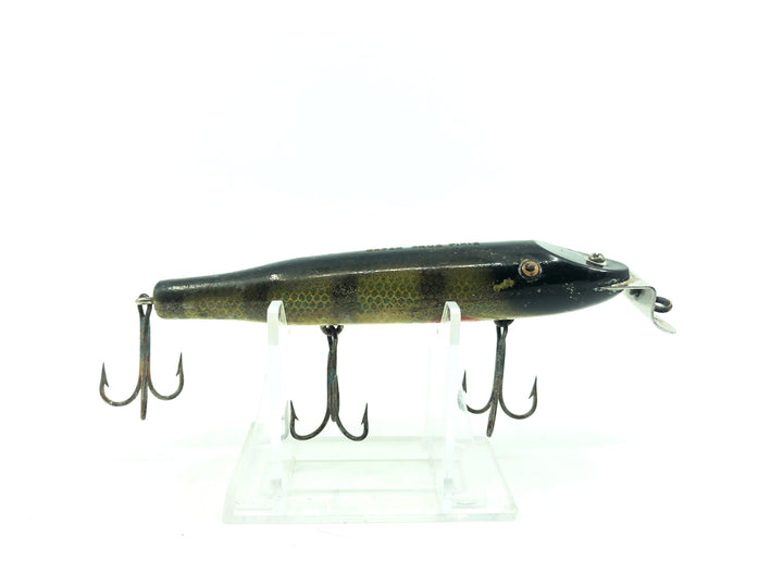 Creek Chub 700 Pikie in Perch 701 Color