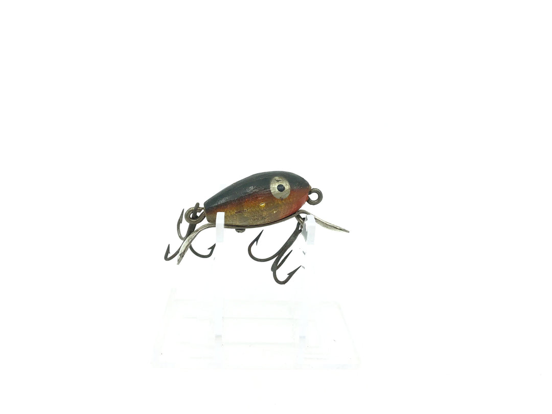 Shakespeare Dopey Red Perch Color