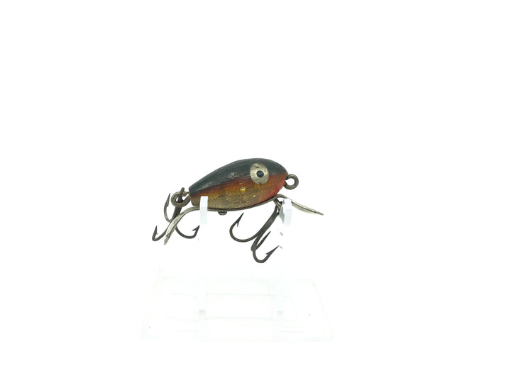 Shakespeare Dopey Red Perch Color