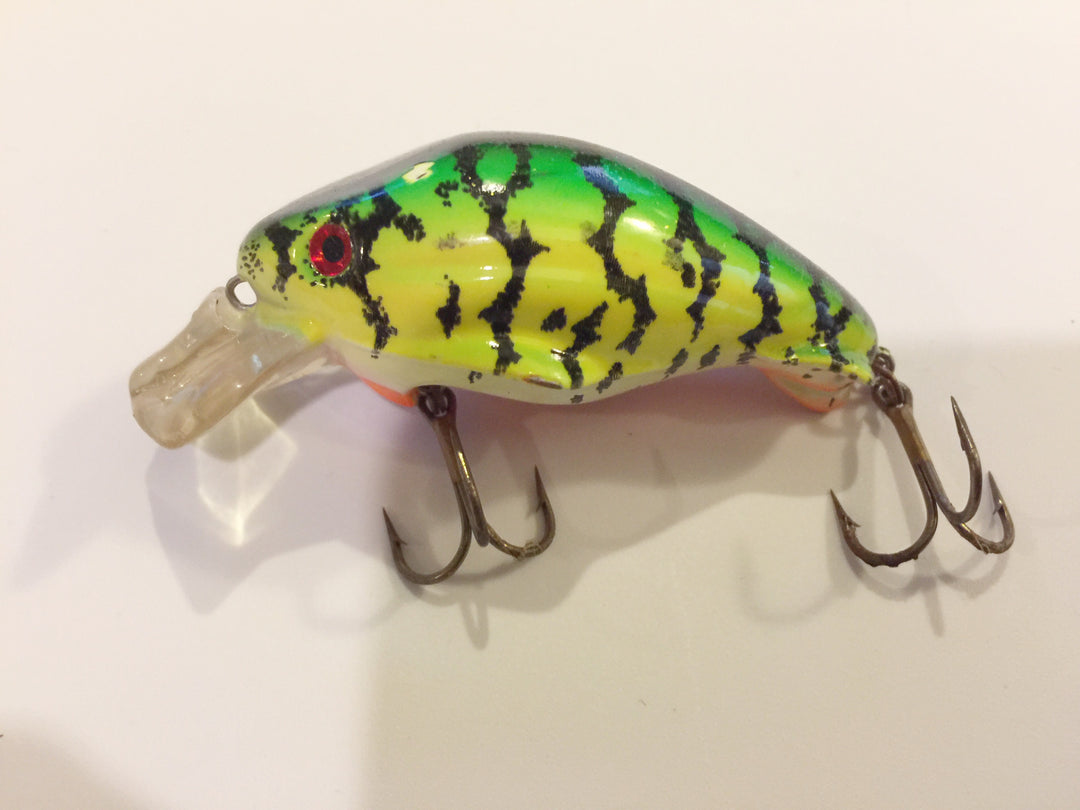 Worden Timber Tiger Fire Tiger Great Color