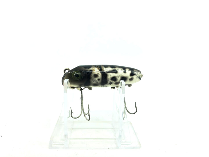 South Bend Midge-Oreno CD Coachdog Color.