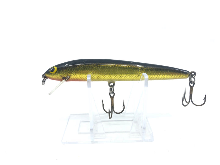 Unmarked Minnow Black Gold and White Color