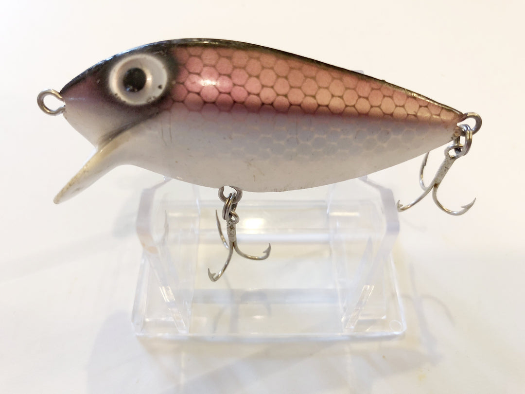 Storm Pre-Rapala Thin Fin Purple Shad Color