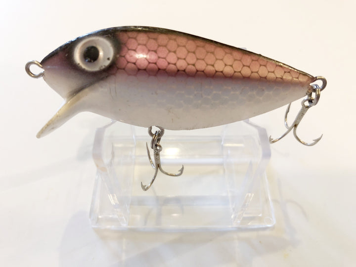 Storm Pre-Rapala Thin Fin Purple Shad Color