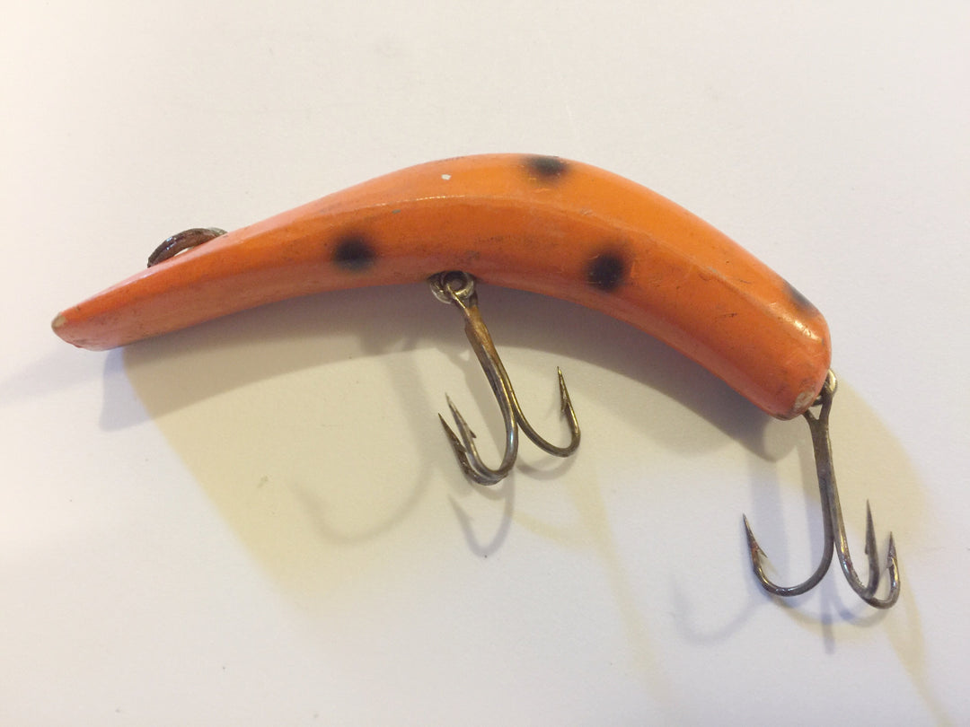 Lazy Ike 3 Orange with Black Spots