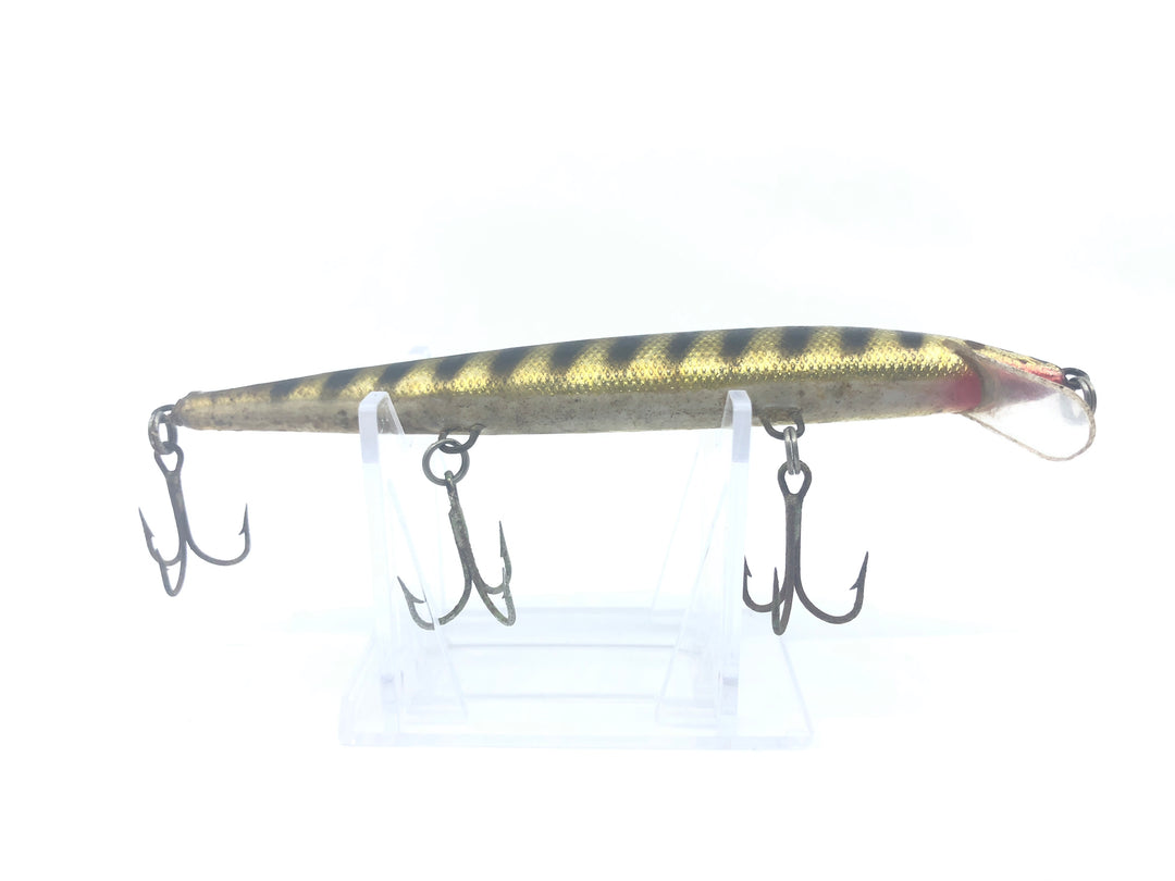 Minnow Black with Gold Stripes Color