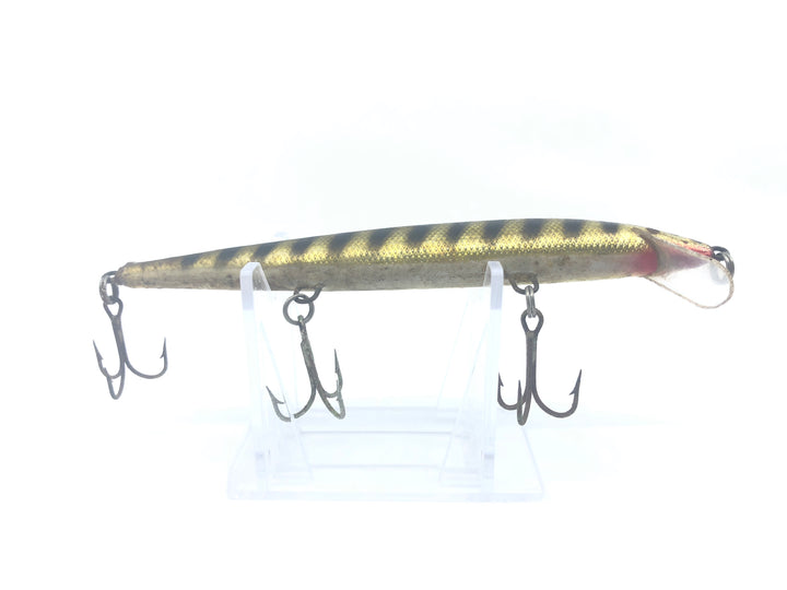 Minnow Black with Gold Stripes Color