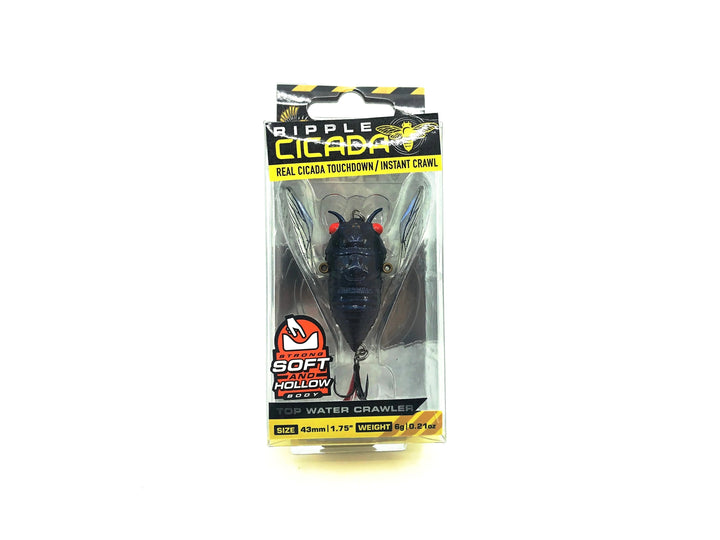 Chasebaits Ripple Cicada, Red Eye Color