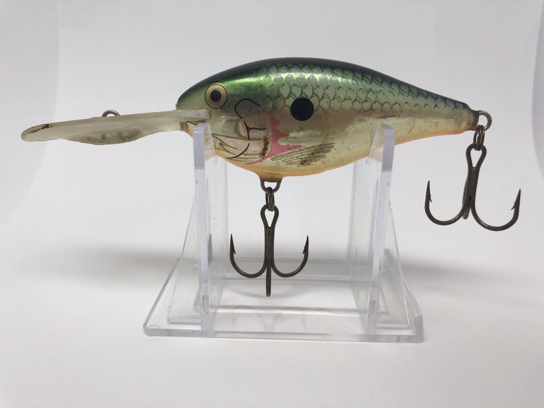 Rapala Perch