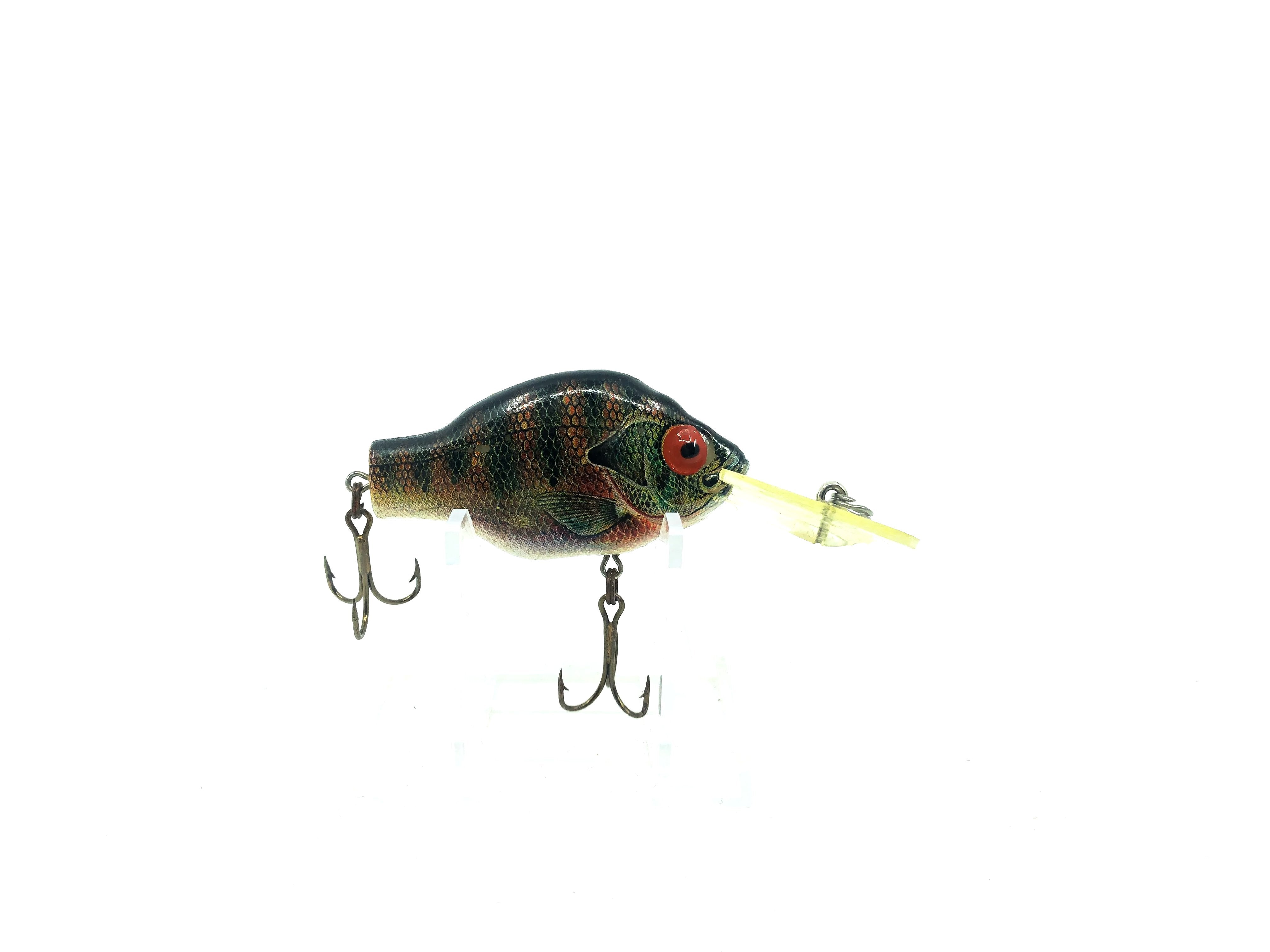 Leurre De Pêche Vintage Rebel Baitfish - Série 2.5 Long Bluegill - Crankbait Plastique