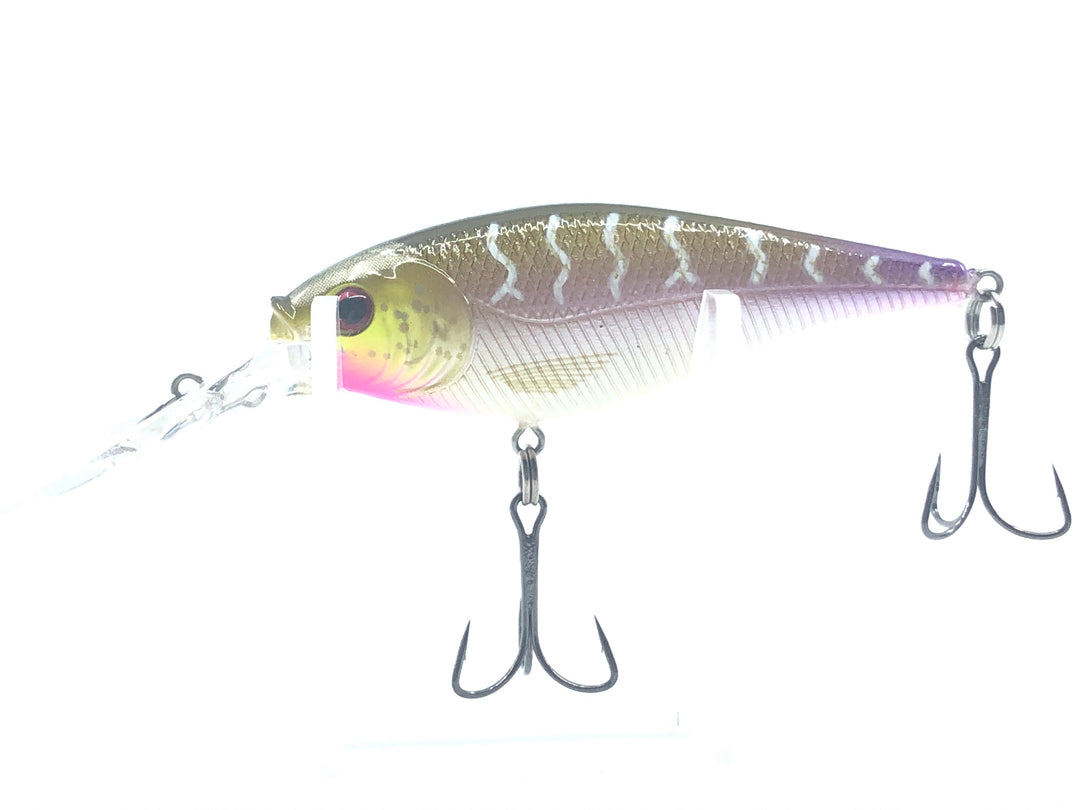 Berkley Frenzy FSH7-M Pink & Gold